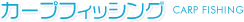 �J�[�v�t�B�b�V���O