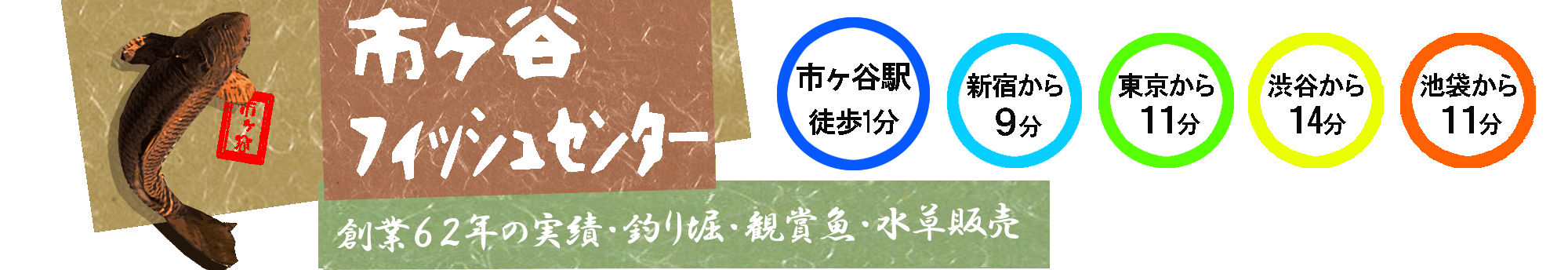 金魚って何 金魚の歴史と 小話