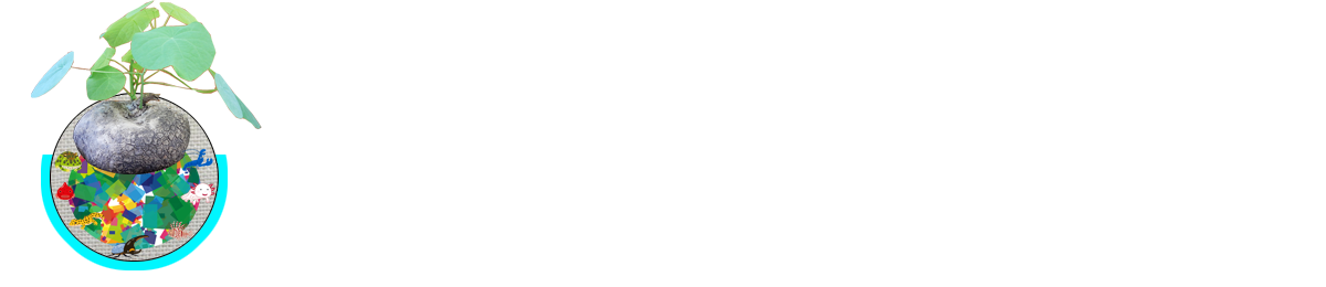 爬虫類・両生類