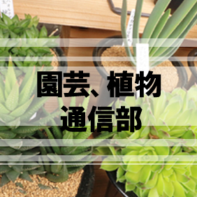 園芸植物通販"